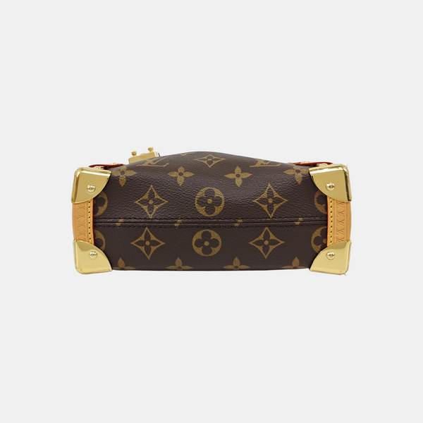 SIDE TRUNK PM Monogram Coated Canvas Brown