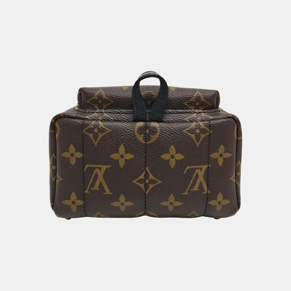 PALM SPRINGS Mini Monogram Coated Canvas Brown