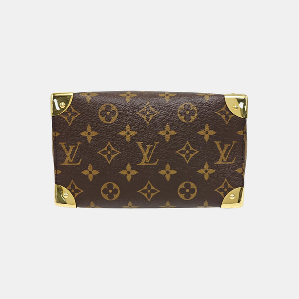 SPEEDY TRUNK 20 Monogram Coated Canvas Brown