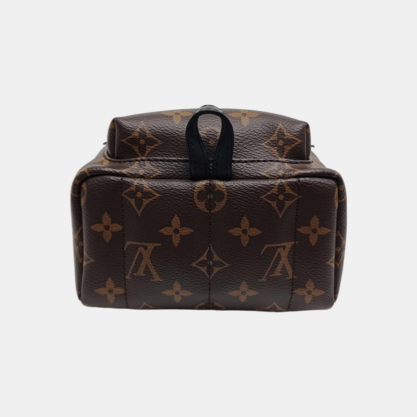 PALM SPRINGS Mini Monogram Coated Canvas Brown