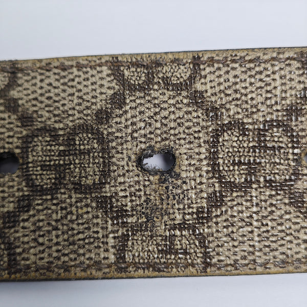 Coated Canvas Belt Beige