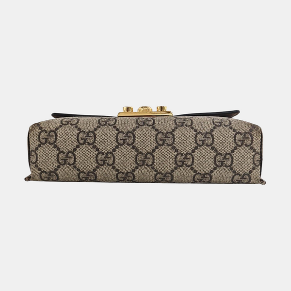 Padlock Mini Monogram Coated Canvas Multicolor