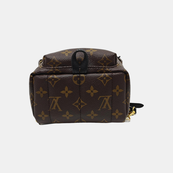 PALM SPRINGS Mini Monogram Coated Canvas Brown