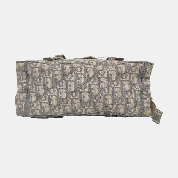 Diorcamp Large Oblique Canvas Gray