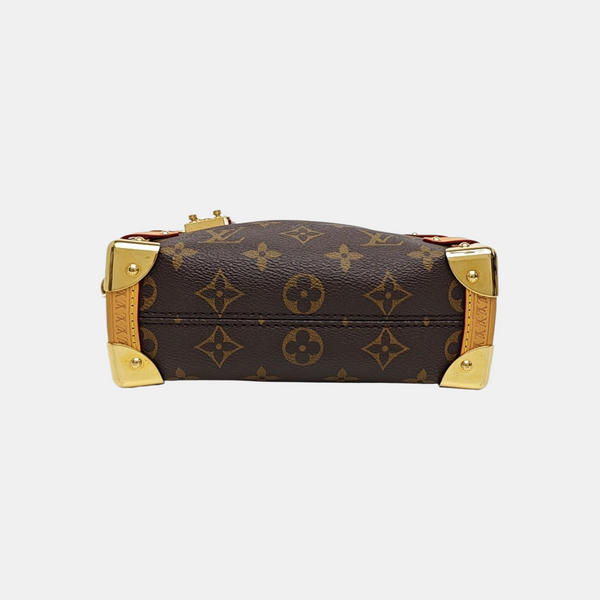 SIDE TRUNK PM Monogram Coated Canvas Brown