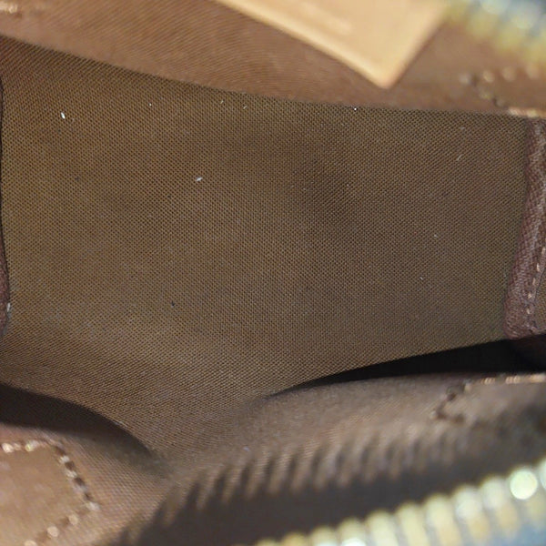 SPEEDY Nano Monogram Coated Canvas Brown