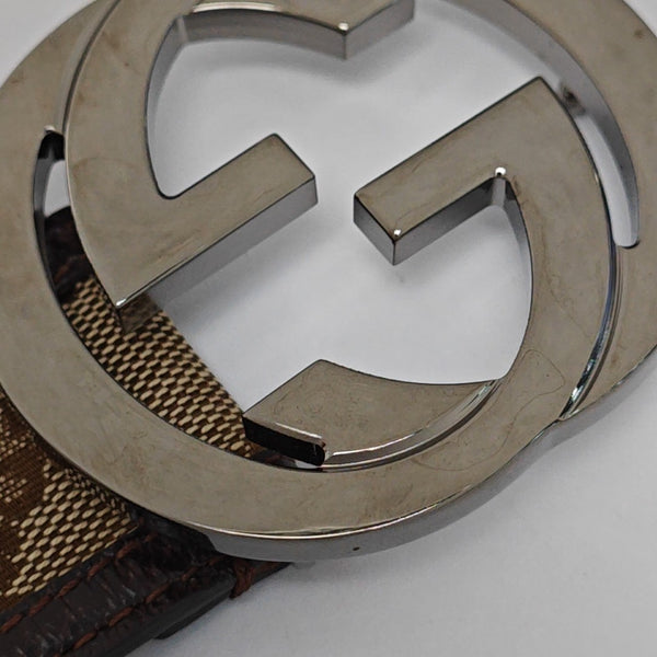 Coated Canvas Belt Beige