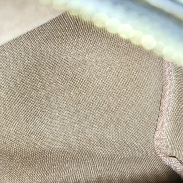 SPEEDY Nano Monogram Coated Canvas Brown