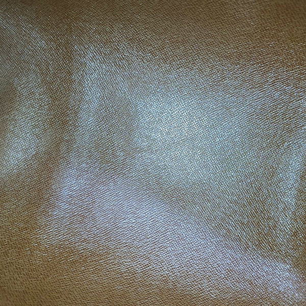 PAPILLON MM Monogram Coated Canvas Brown