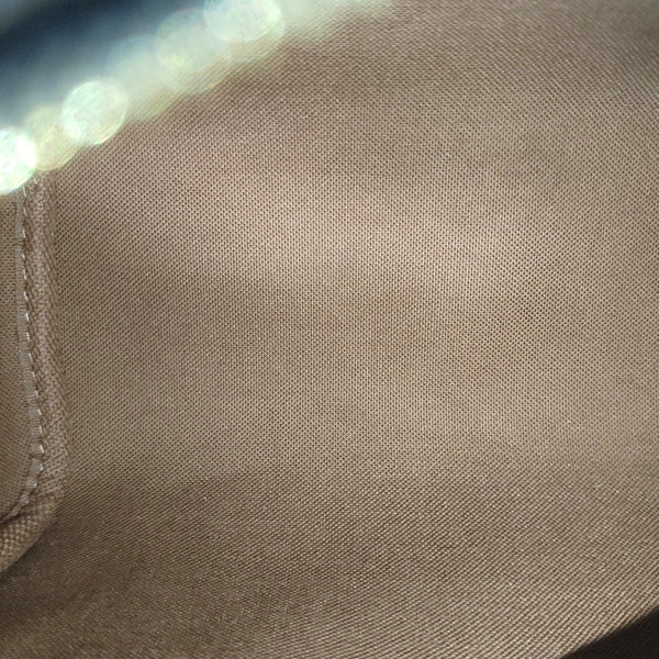 SPEEDY Nano Monogram Coated Canvas Brown