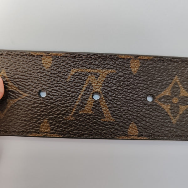 Coated Canvas Belt Brown
