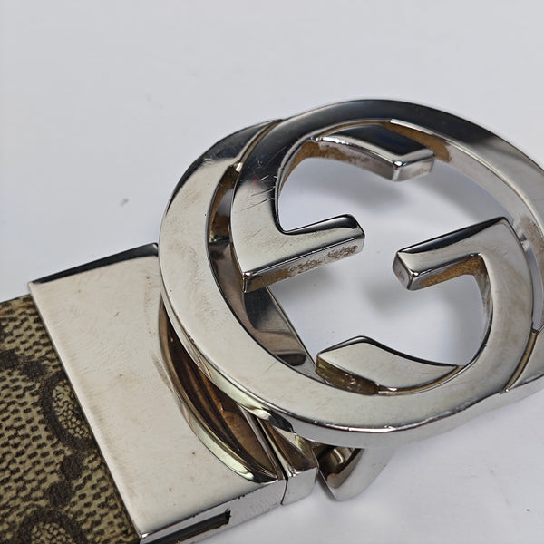 Coated Canvas Belt Beige