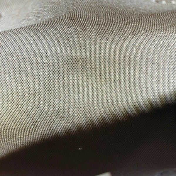 SPEEDY Nano Monogram Coated Canvas Brown