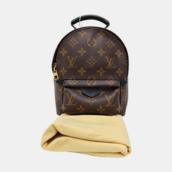PALM SPRINGS Mini Monogram Coated Canvas Brown
