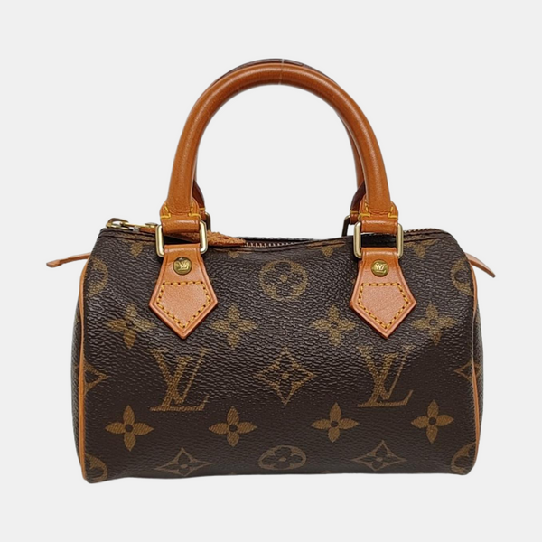 SPEEDY Nano Monogram Coated Canvas Brown