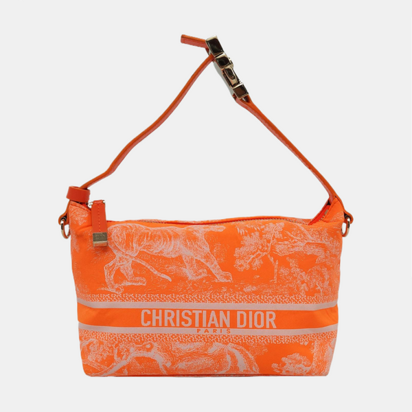 Diortravel Nomad Fabric Orange