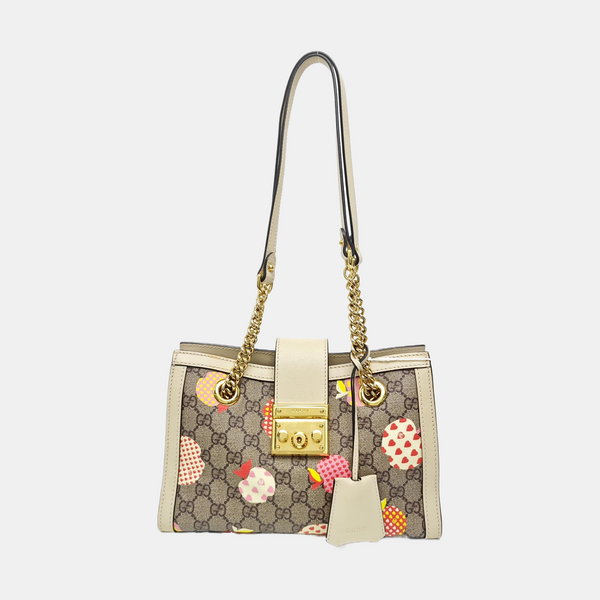 Padlock Small Monogram Coated Canvas Multicolor