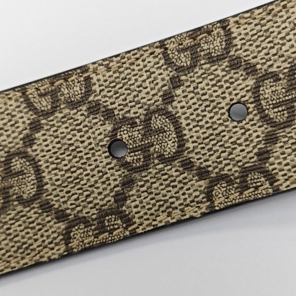 Coated Canvas Belt Beige