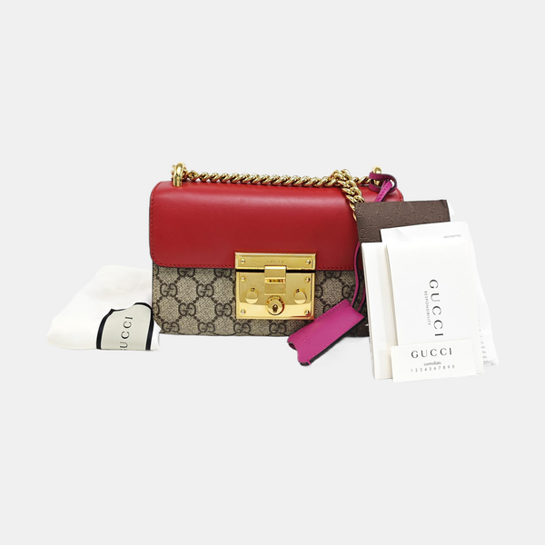 Padlock Small Monogram Coated Canvas Multicolor