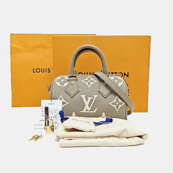 SPEEDY 20 Monogram Calfskin Gray