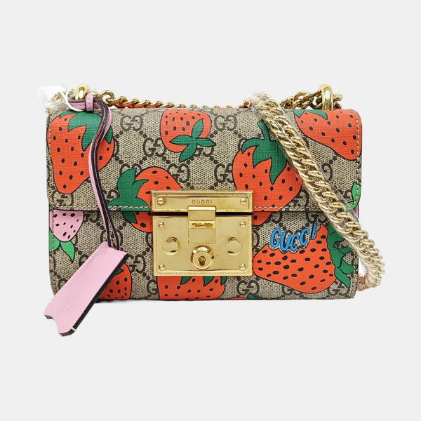 Padlock Small Monogram Coated Canvas Multicolor