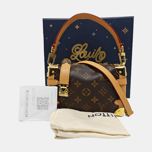 SIDE TRUNK PM Monogram Coated Canvas Brown