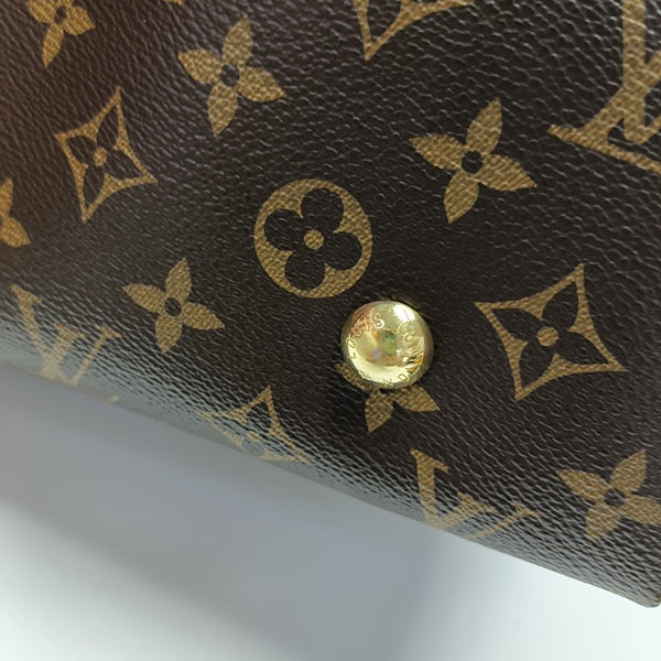 CARRYALL MM Monogram Coated Canvas Brown