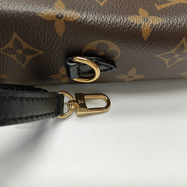 CAMERA BOX Monogram Coated Canvas Brown