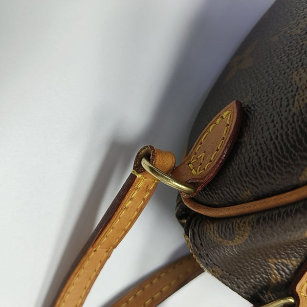 SPEEDY Nano Monogram Coated Canvas Brown