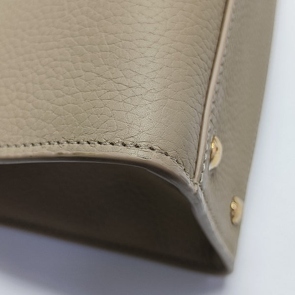 Frances Calfskin Brown