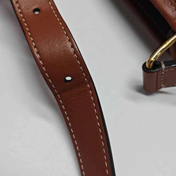 TRIOMPHE CANVAS Small Coated Canvas Brown