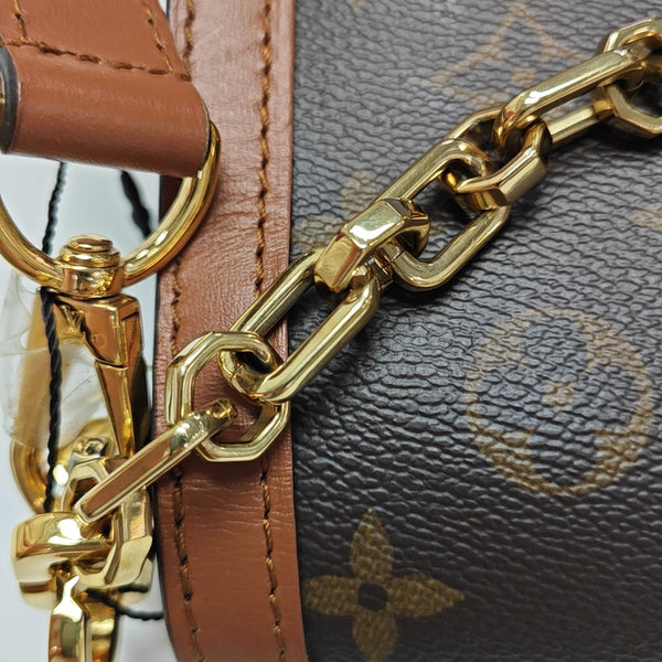 DAUPHINE MM Monogram Coated Canvas Brown