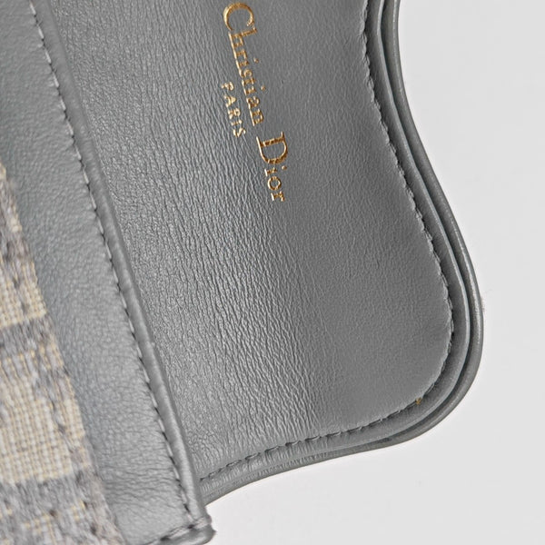 Monedero Saddle de lona Monogram gris