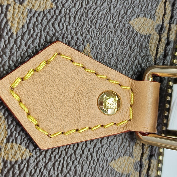 SPEEDY Nano Monogram Coated Canvas Brown