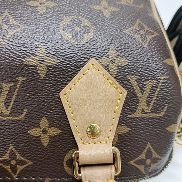 SPEEDY 20 Monogram Coated Canvas Brown