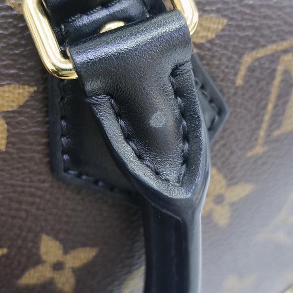 SPEEDY TRUNK 20 Monogram Coated Canvas Brown