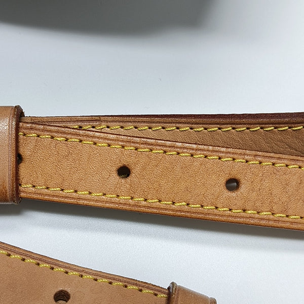 SPEEDY 25 Monogram Coated Canvas Brown