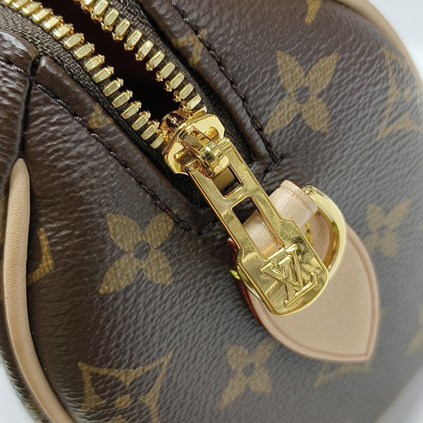 SPEEDY 20 Monogram Coated Canvas Brown