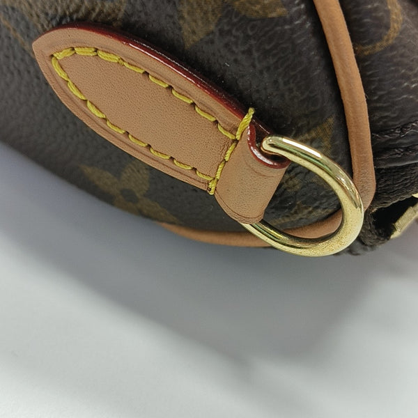 SPEEDY Nano Monogram Coated Canvas Brown