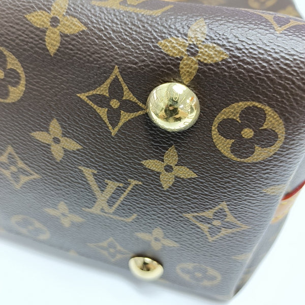 CARRYALL PM Monogram Coated Canvas Brown