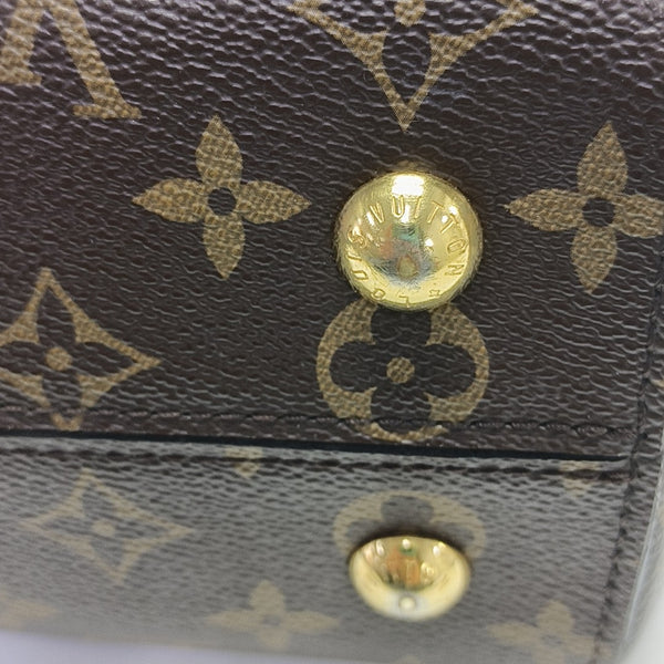CLUNY MM Monogram Coated Canvas Brown