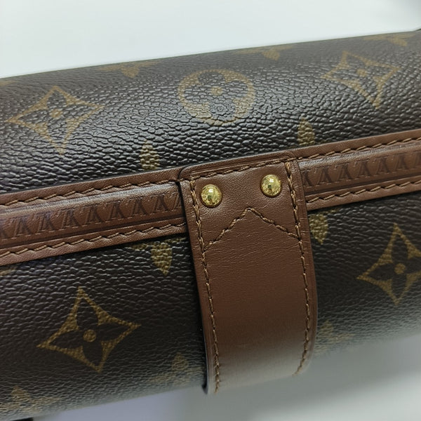 PAPILLON 19 Monogram Coated Canvas Brown