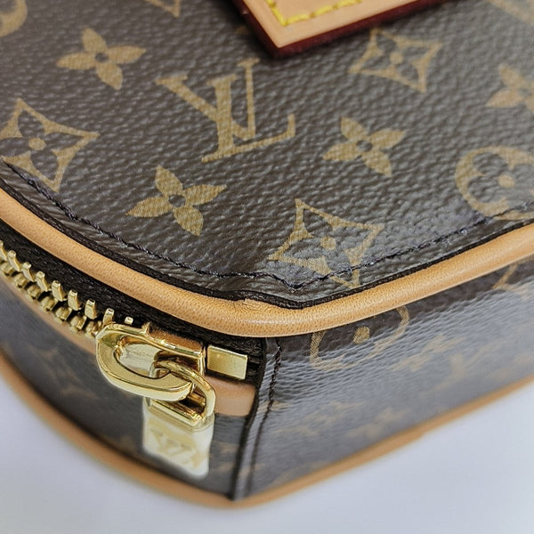 BOITE CHAPEAU Mini Monogram Coated Canvas Brown