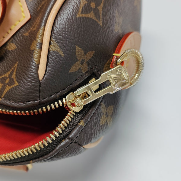 SPEEDY 20 Monogram Coated Canvas Brown