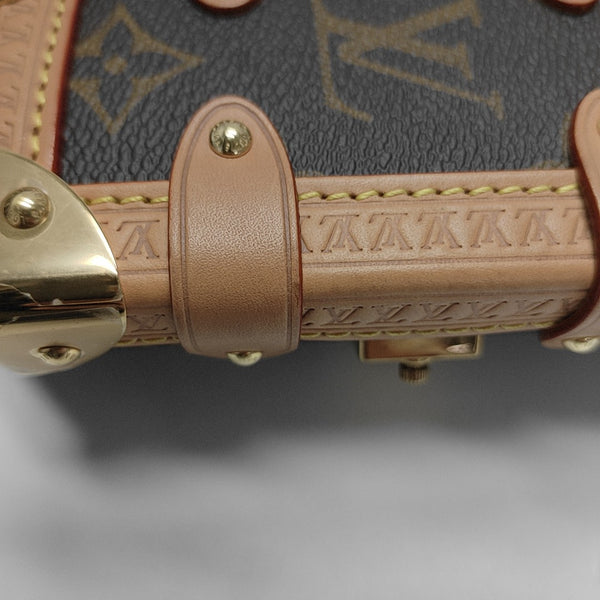SIDE TRUNK PM Monogram Coated Canvas Brown