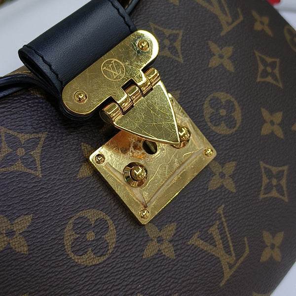 TWINNY Monogram Coated Canvas Brown