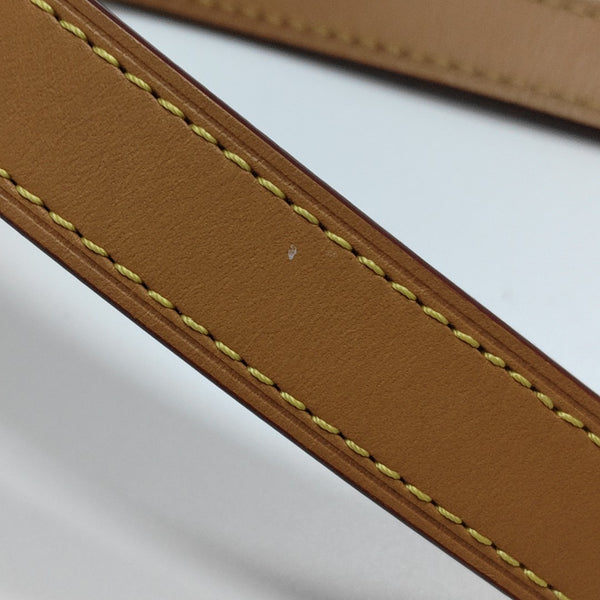 SOFT TRUNK Mini Monogram Coated Canvas Brown