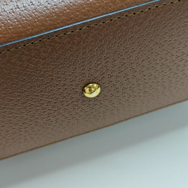 Diana Mini Calfskin Brown