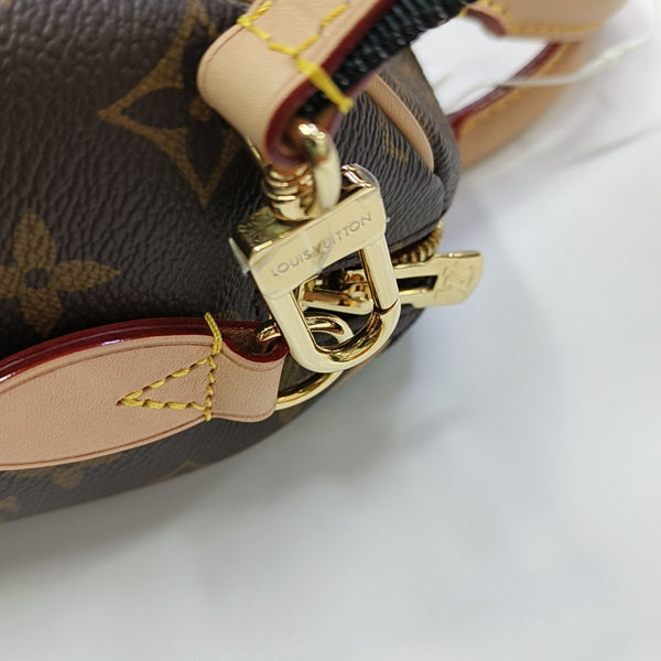 SPEEDY 20 Monogram Coated Canvas Brown