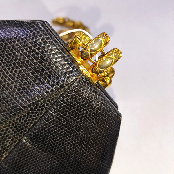 Lizard Black